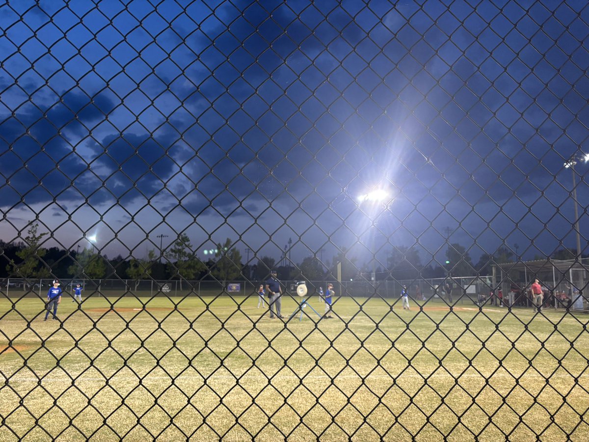 North in the South tweet media