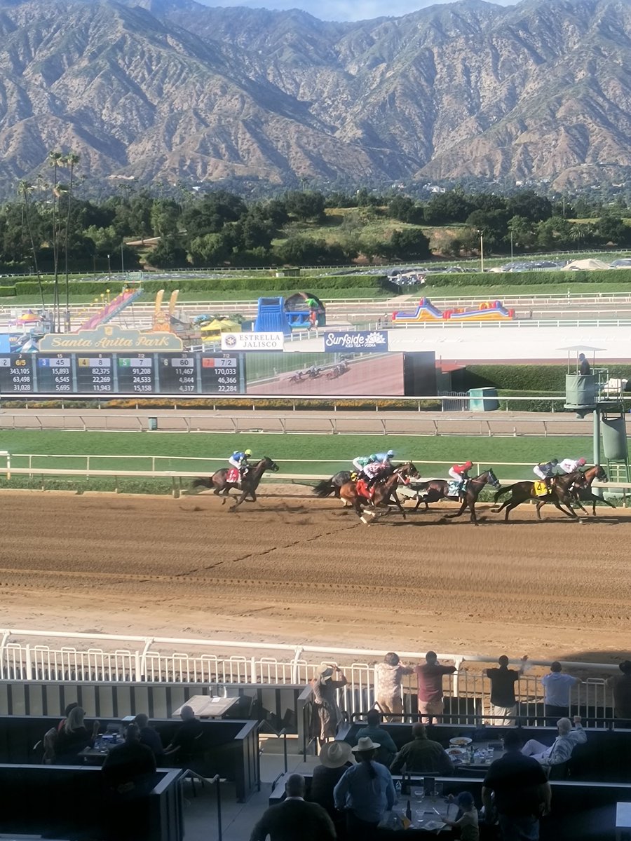 lana allison tweet media