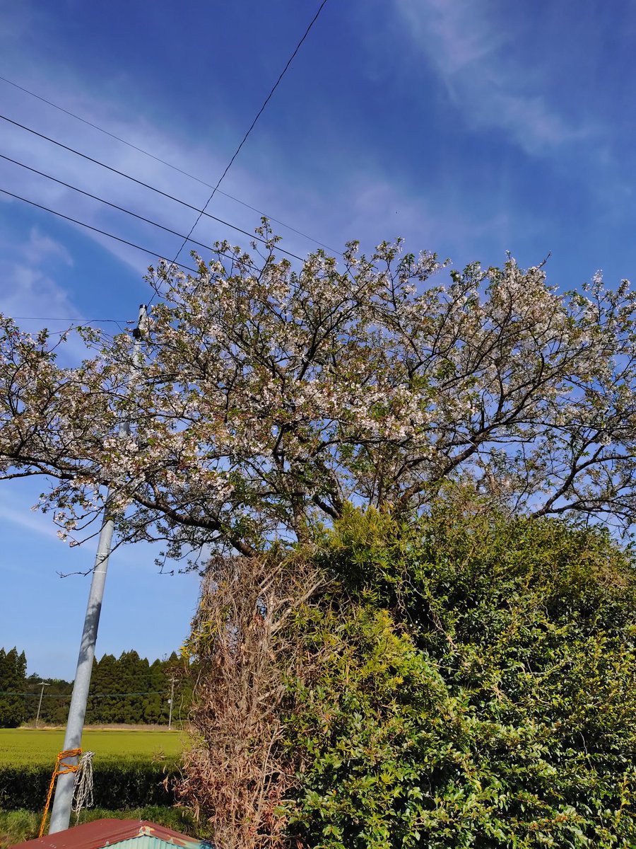 ジョーニアス (@rlgknfmlyvuc) on Twitter photo 