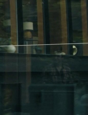 ari 🦆 | ᴴᴼᴸᴸᴬᴺᴼⱽ tweet media