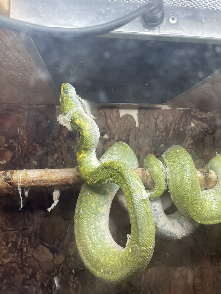 師岡雅史 tweet media