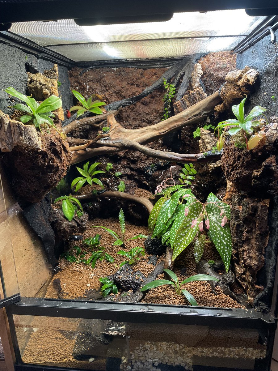 師岡雅史 tweet media