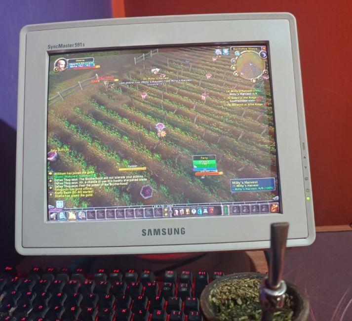 Turtle WoW SA tweet media