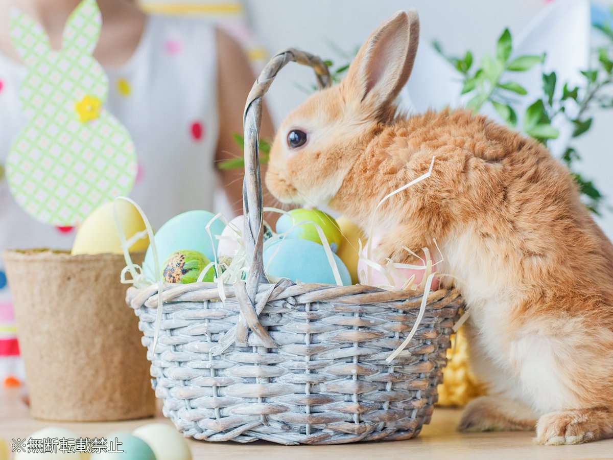 tenki.jp tweet media