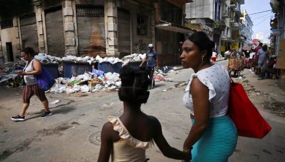 Monides® tweet media