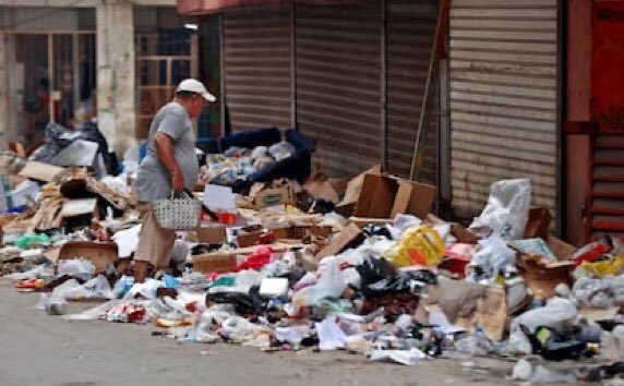 Monides® tweet media