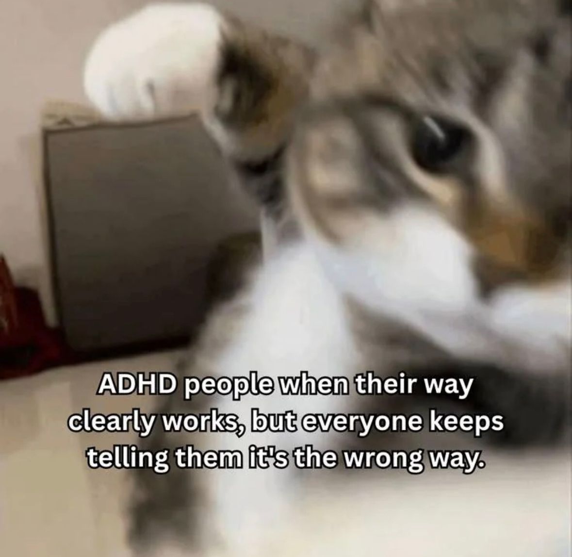 ADHD Memes tweet media