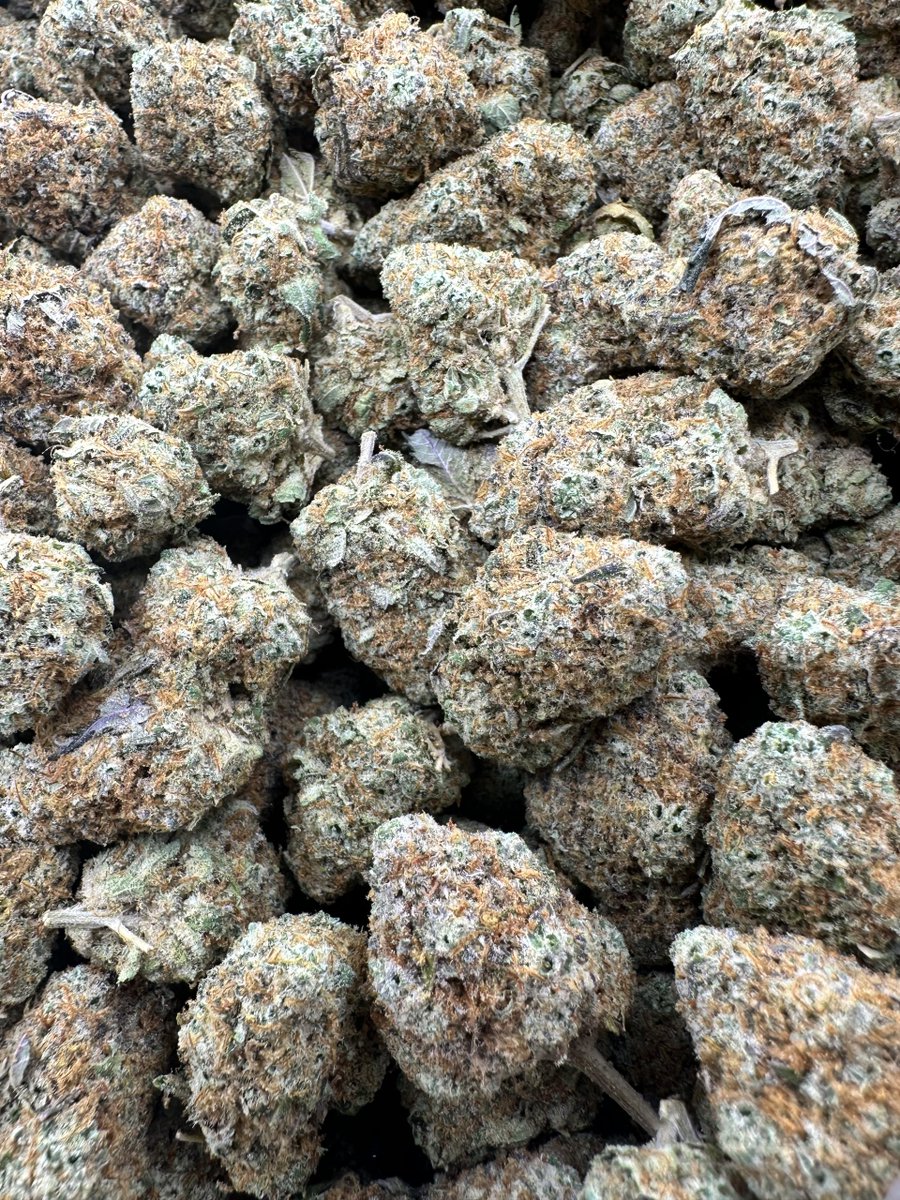 Neptune Seed Bank tweet media