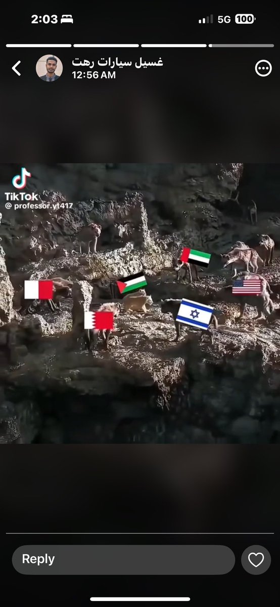 صالح الحربي¬ tweet media