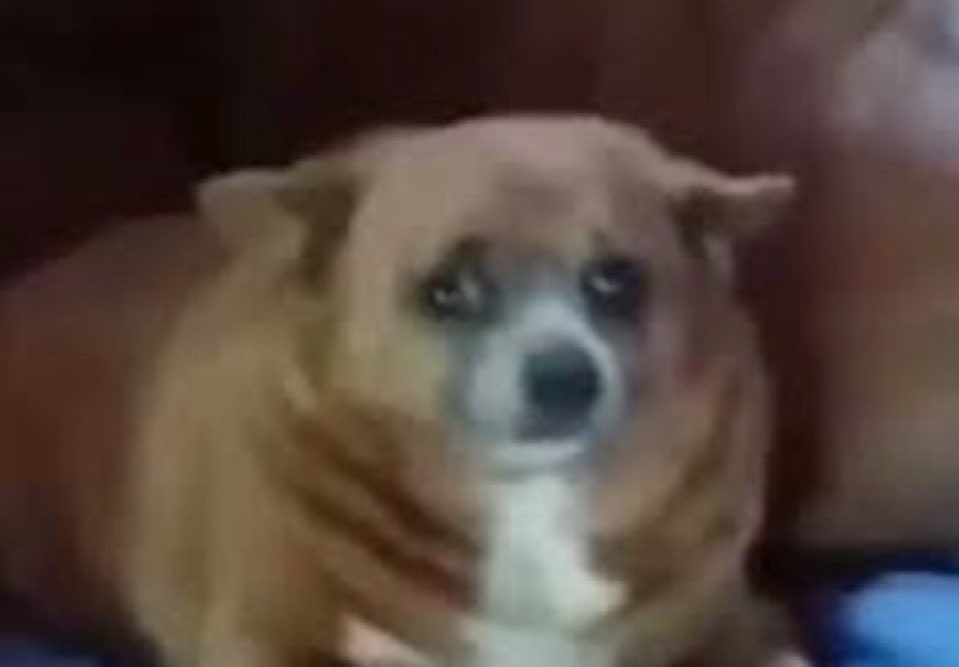 CAKƎ (#1 sam yume) #MountainDewSpamton tweet media