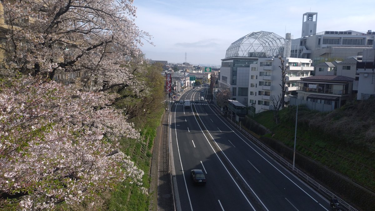 すこみ tweet media