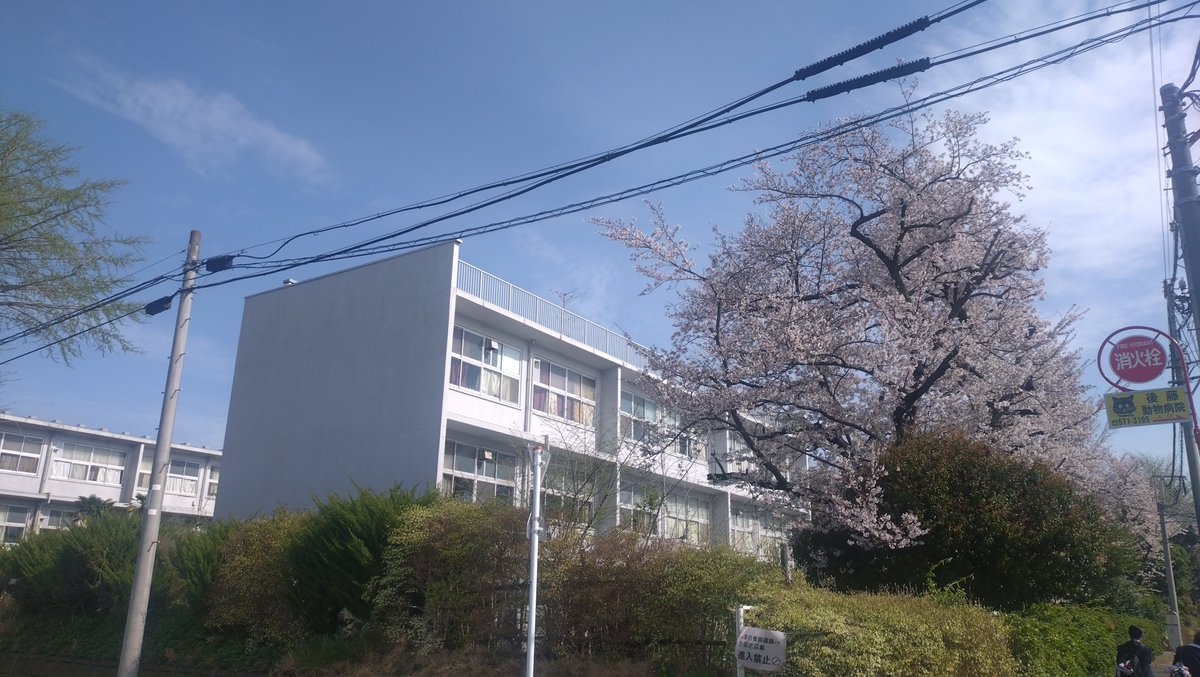 すこみ tweet media