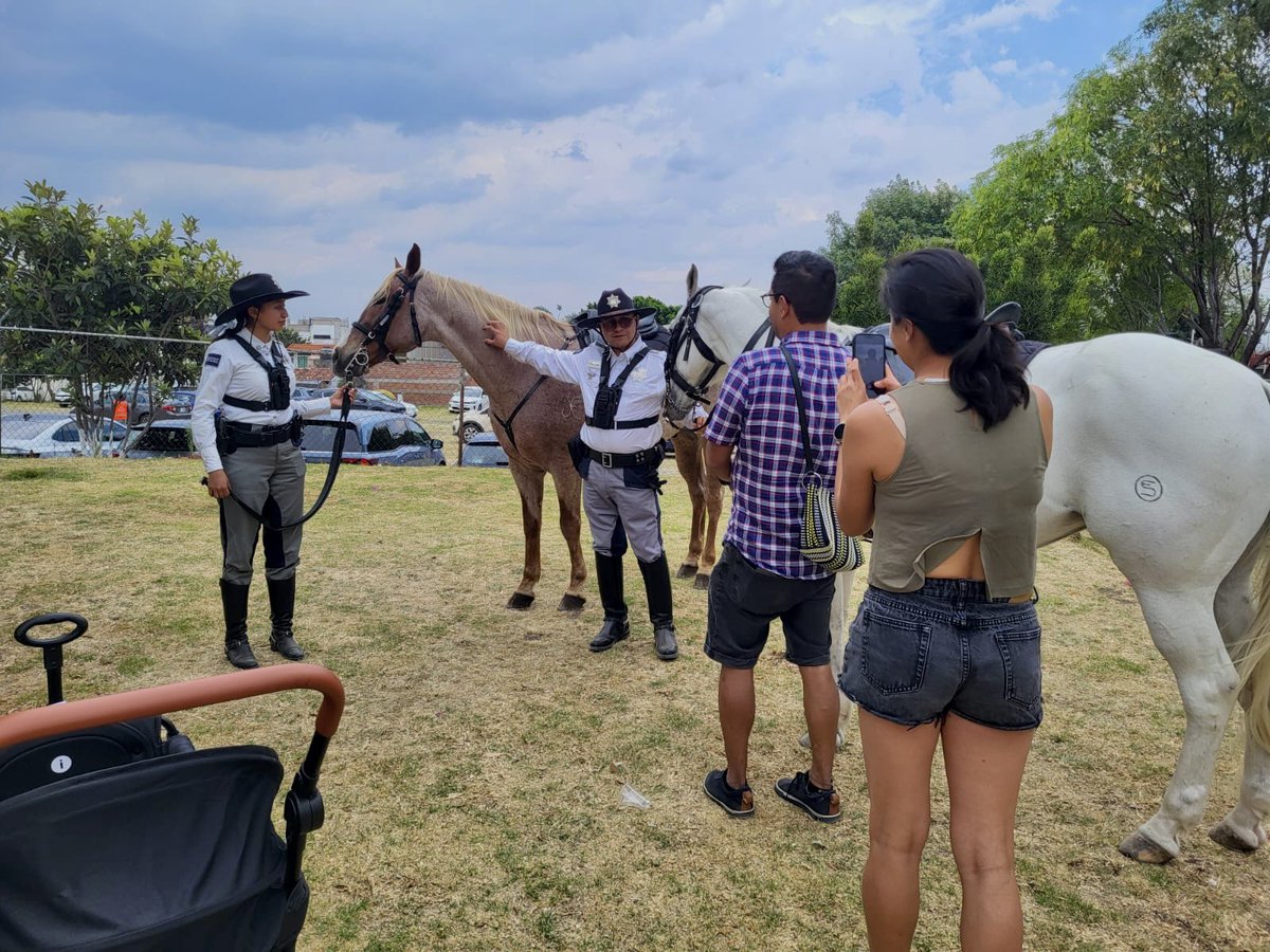 SSPPC San Andrés Cholula tweet media