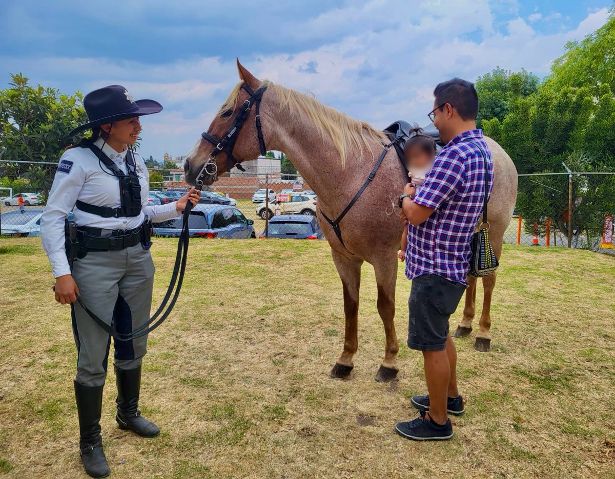 SSPPC San Andrés Cholula tweet media