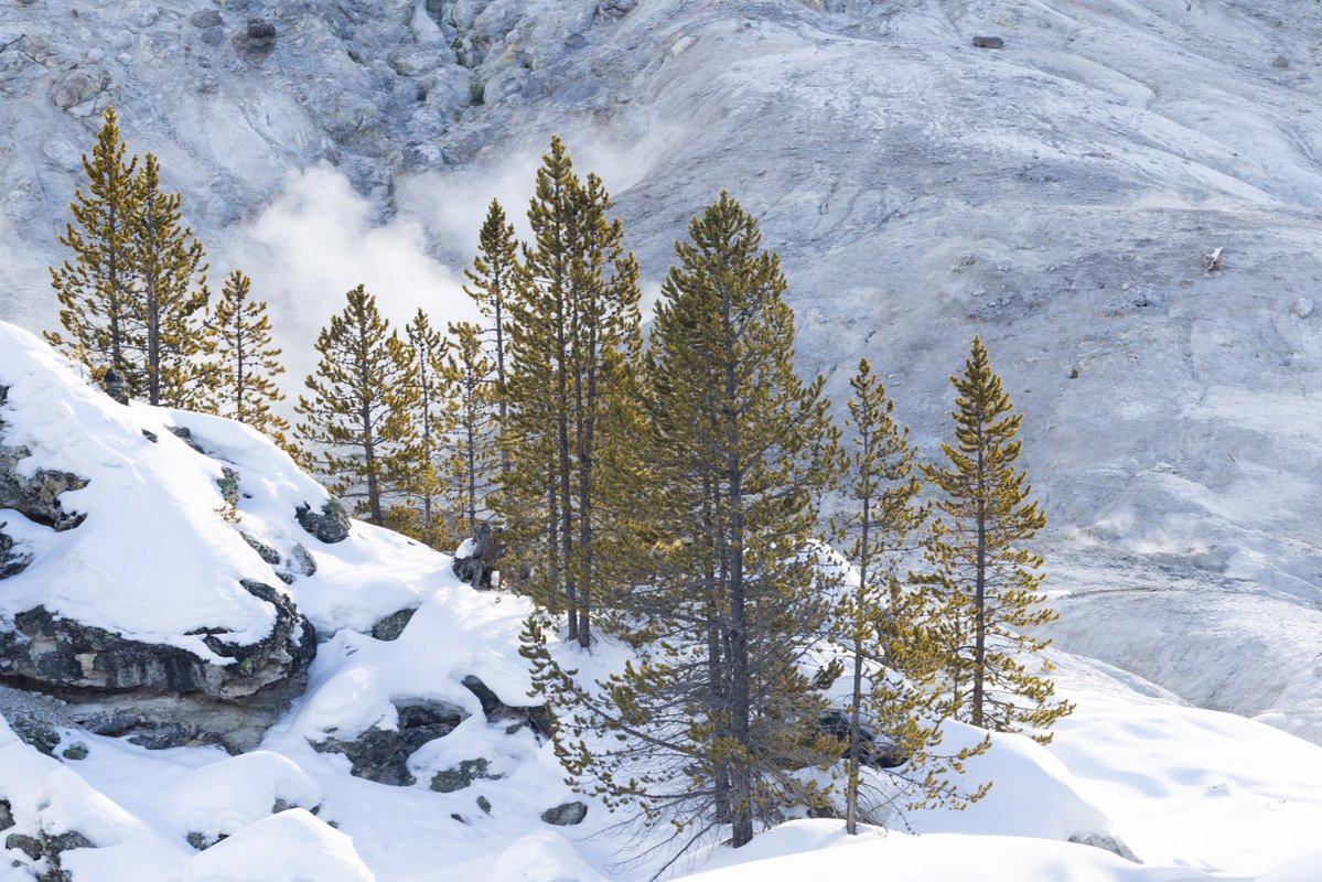 Brynn Alise tweet media