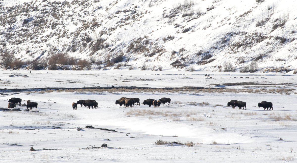 Brynn Alise tweet media