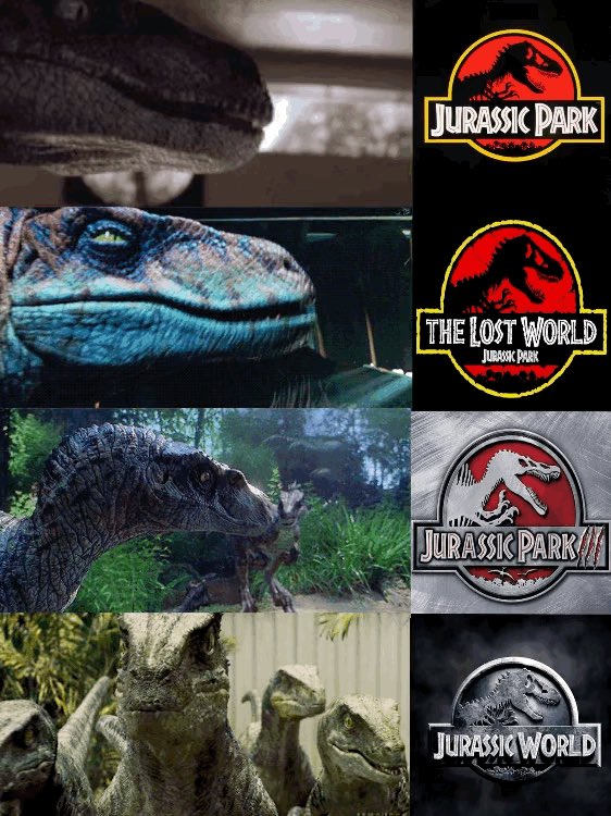 Jurassic Souls✨💕 tweet media