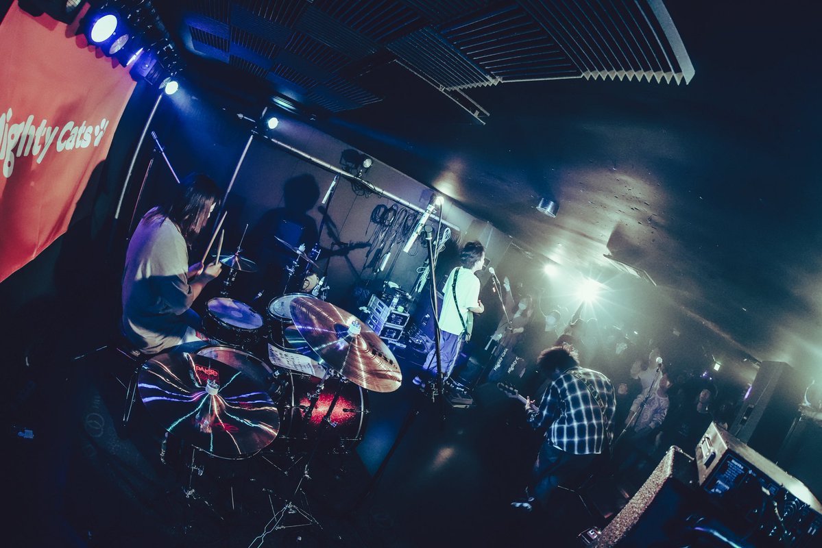 Mighty Cats tweet media