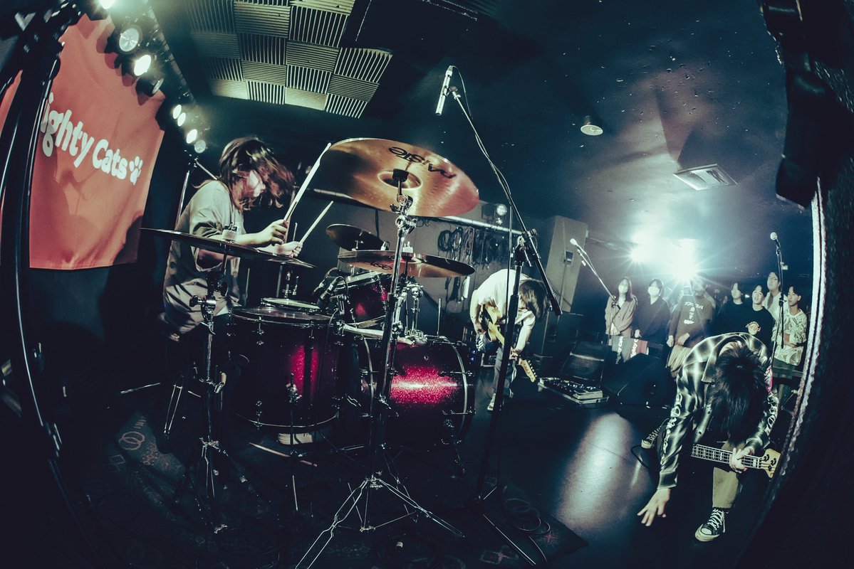 Mighty Cats tweet media