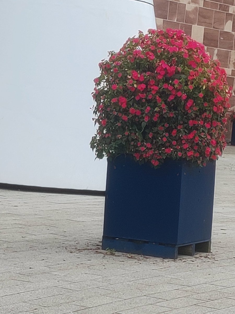 muralidharan,K tweet media