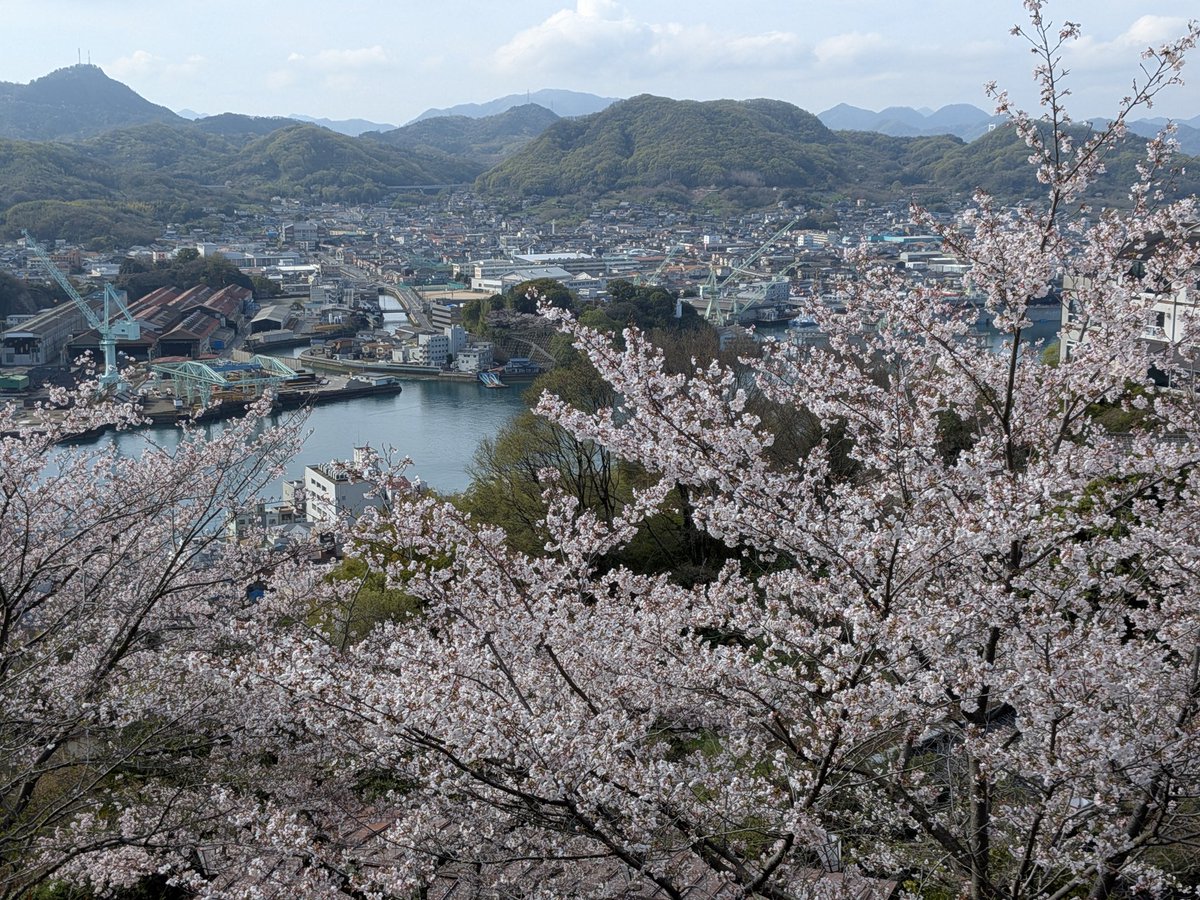 🌸尾道観光協会[おのなび]（広島県） tweet media