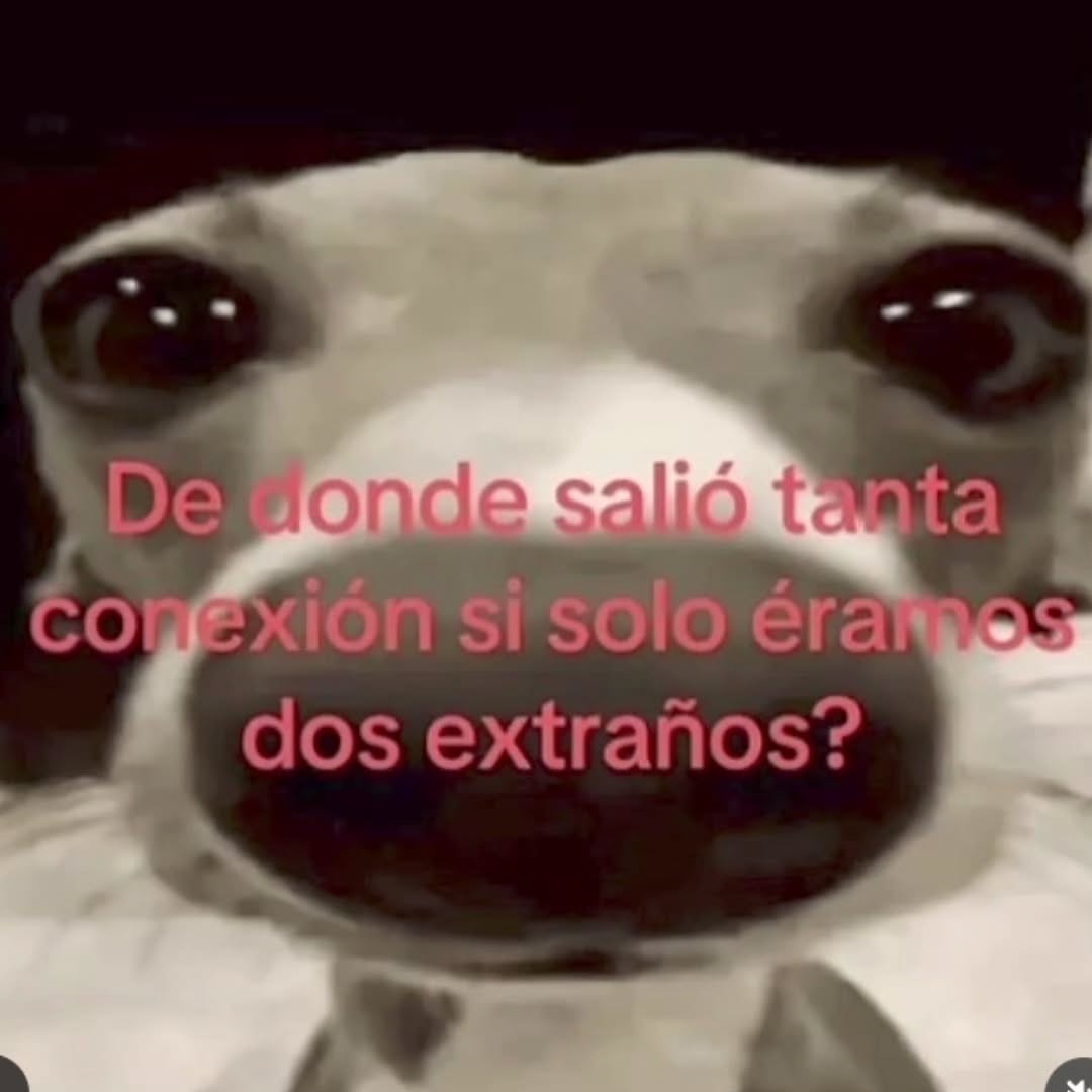 Mundo de Bigotes tweet media