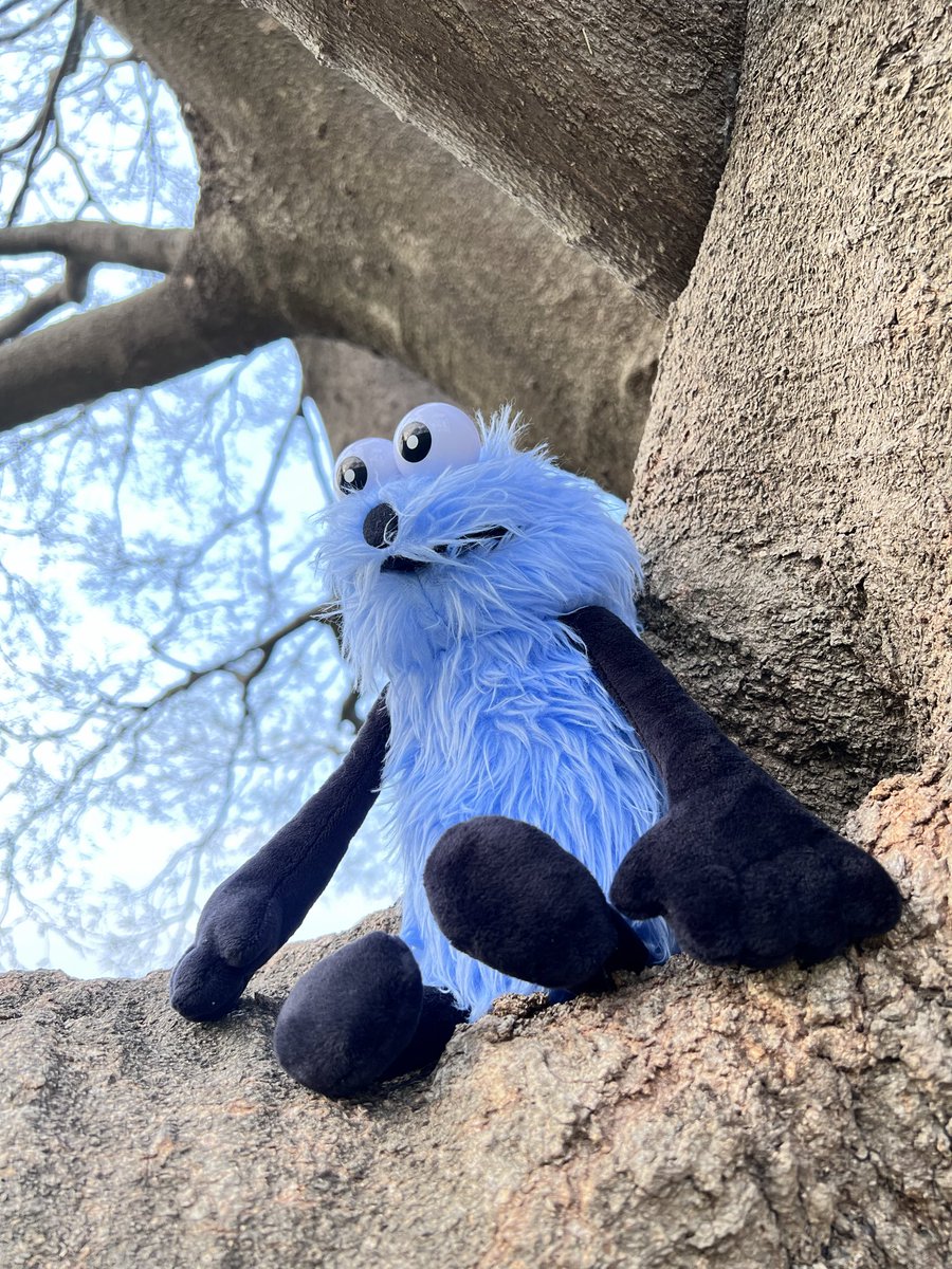 タビすけ。 tweet media