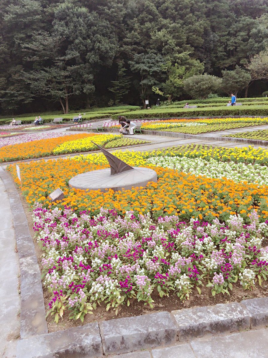 えざき舎@15周年 tweet media