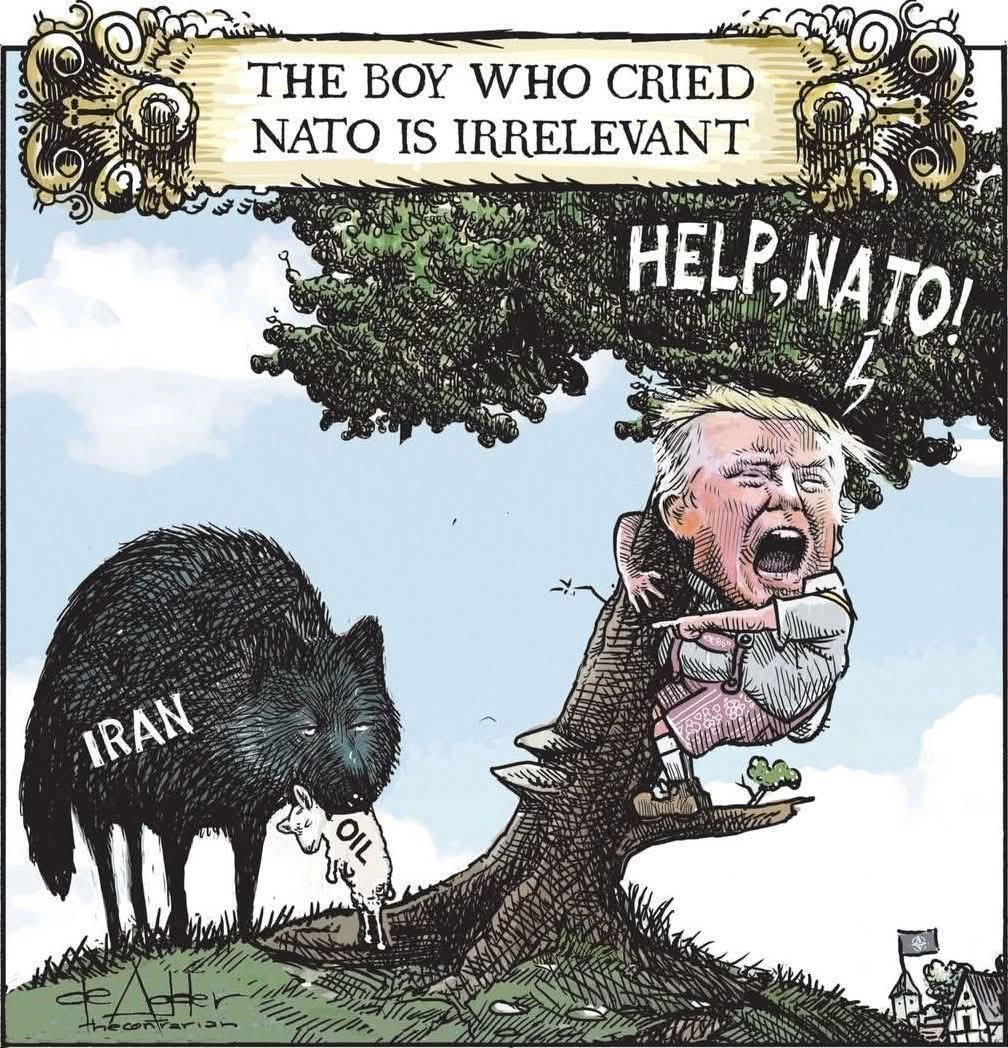 Working toward a Better Future for All! tweet media