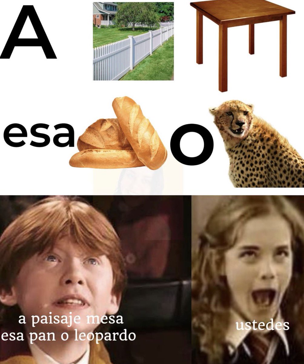 Diego Royet tweet media