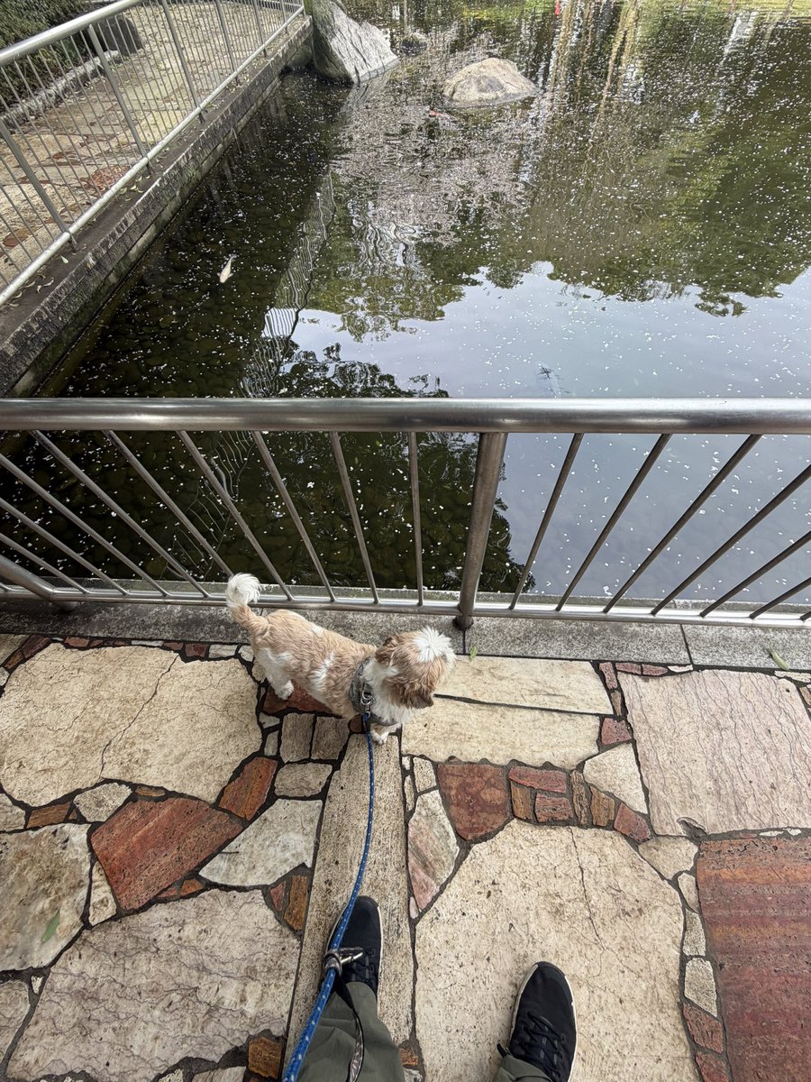 南⃝ 風⃝ 野⃝（🅷🅰🅴🅽🅾） tweet media