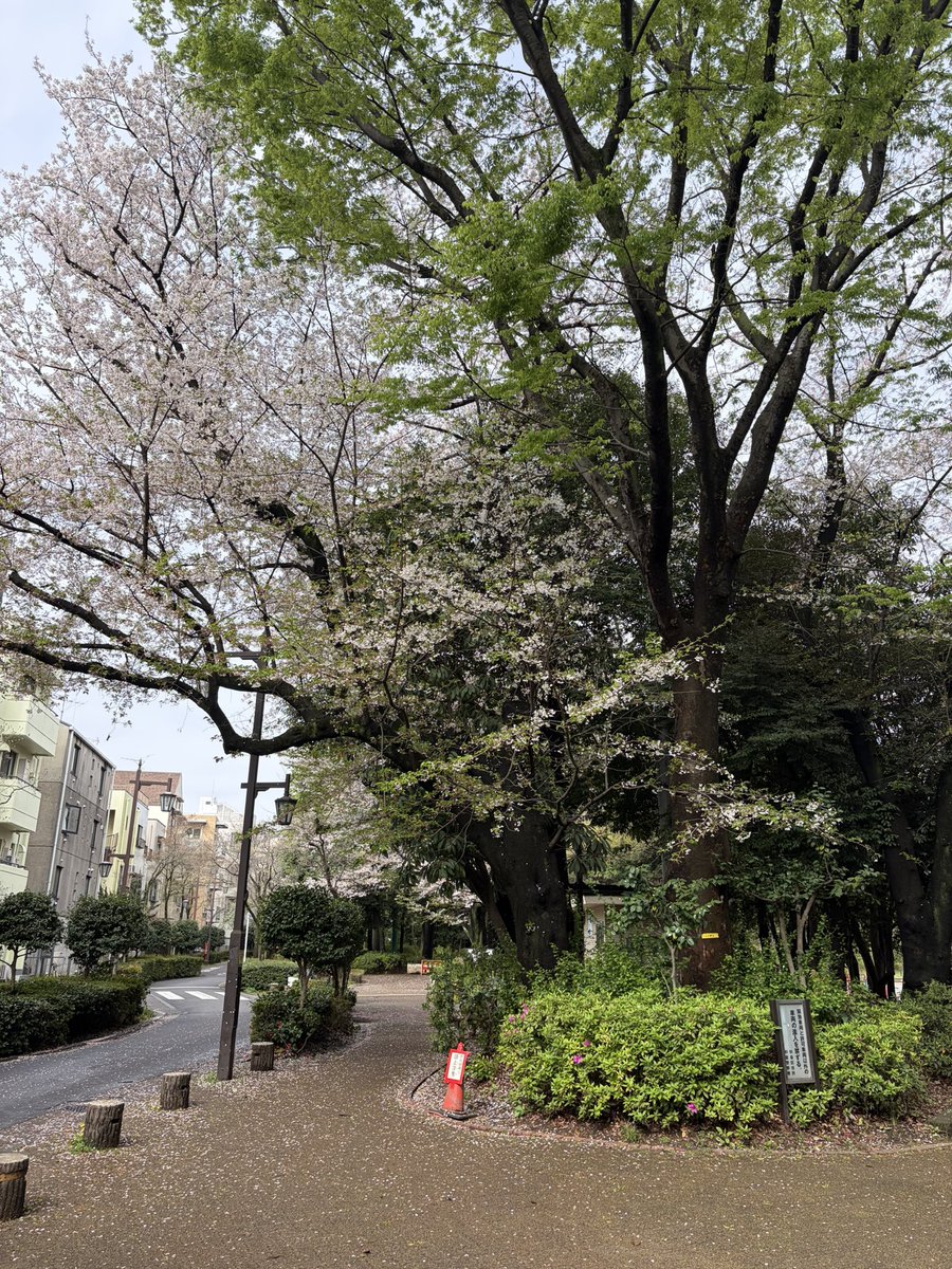 南⃝ 風⃝ 野⃝（🅷🅰🅴🅽🅾） tweet media