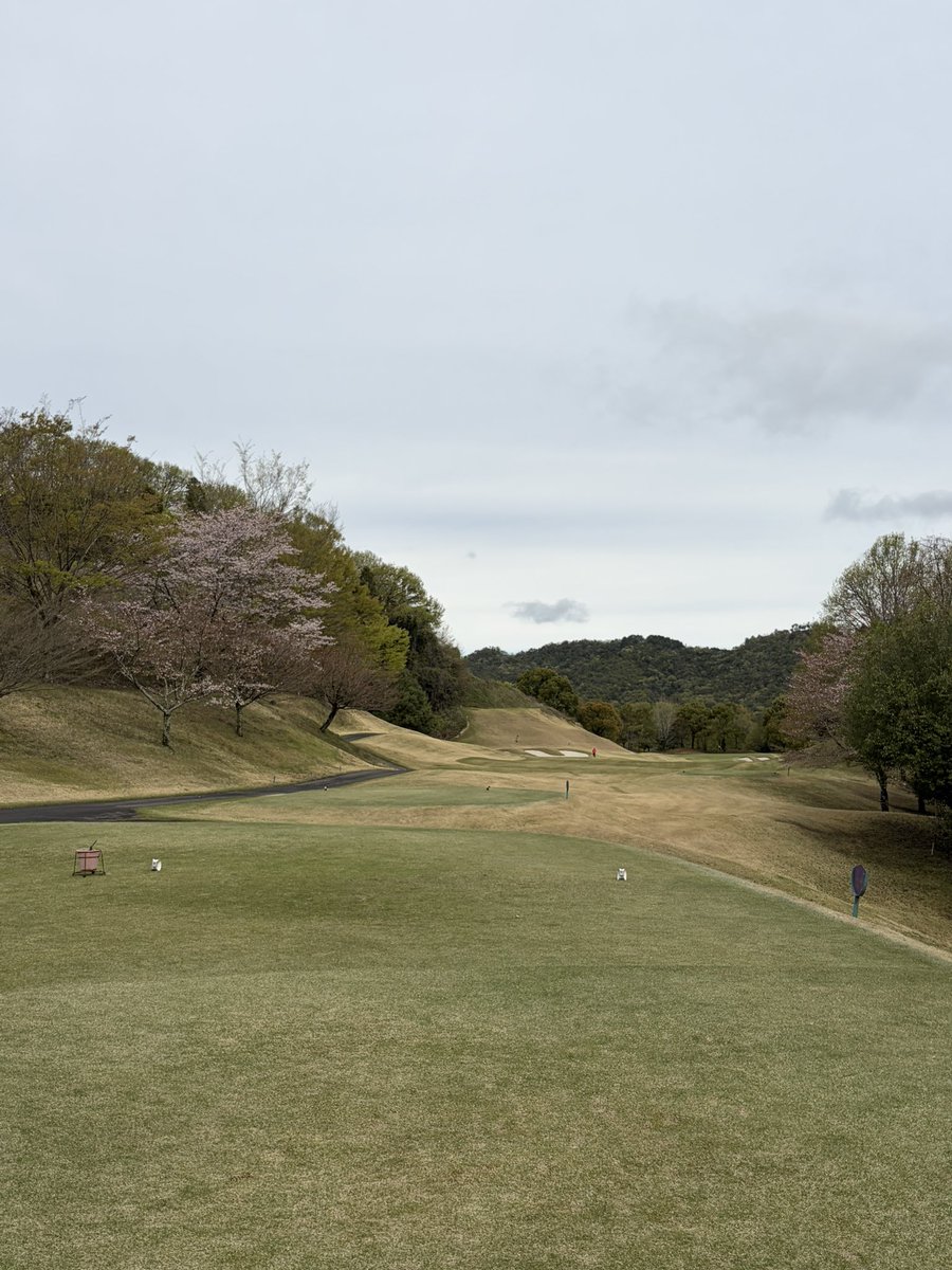 スギちゃん🌪🏮⛳️🏮🌪 tweet media