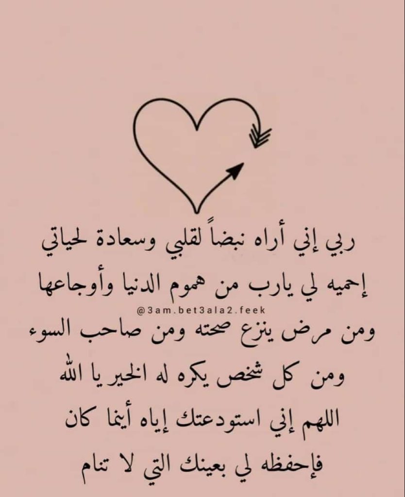 بشرى الشتيوني 🌿. tweet media