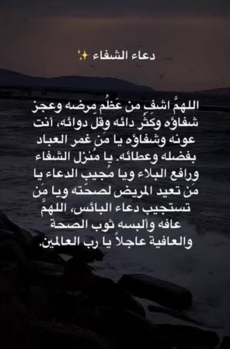 بشرى الشتيوني 🌿. tweet media