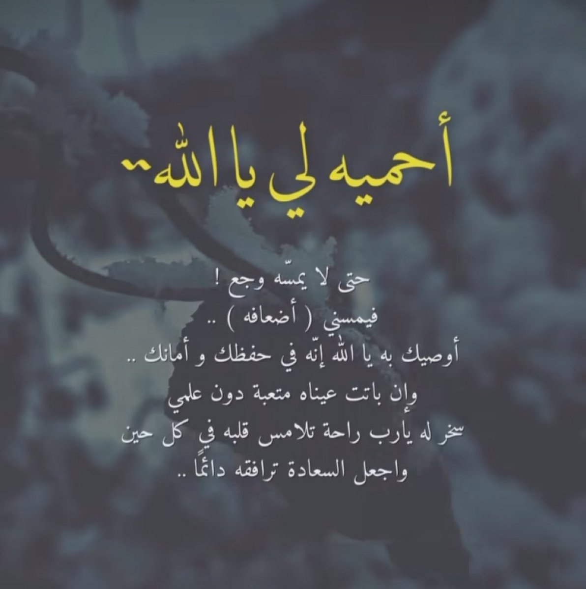 بشرى الشتيوني 🌿. tweet media