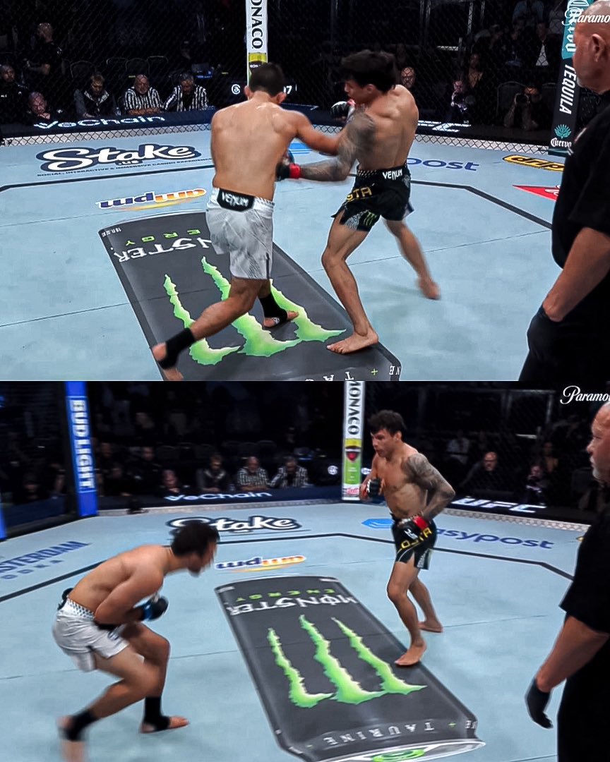 BORN FOR THIS™ tweet media