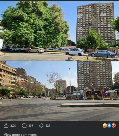 Nagat Ahmed Ali tweet media