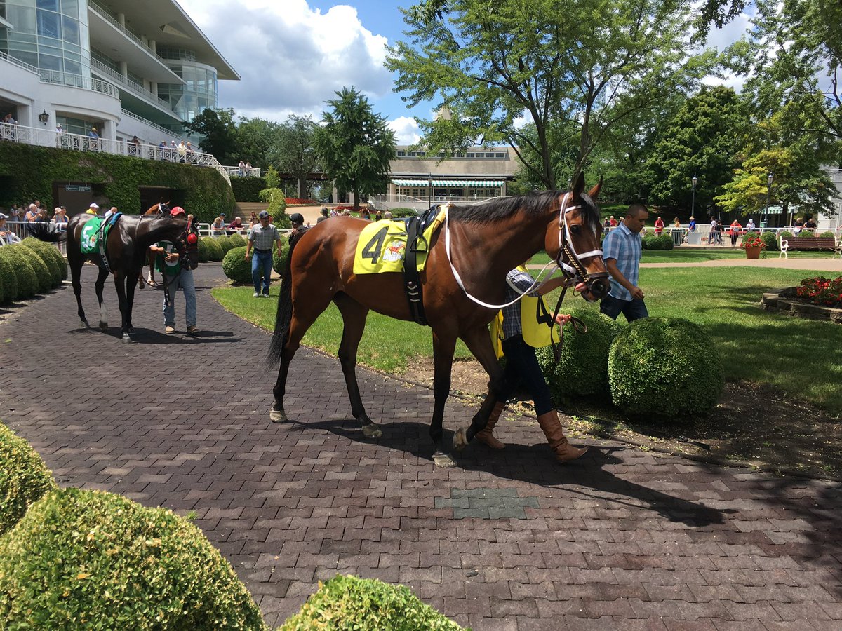 Patrick Mooney tweet media