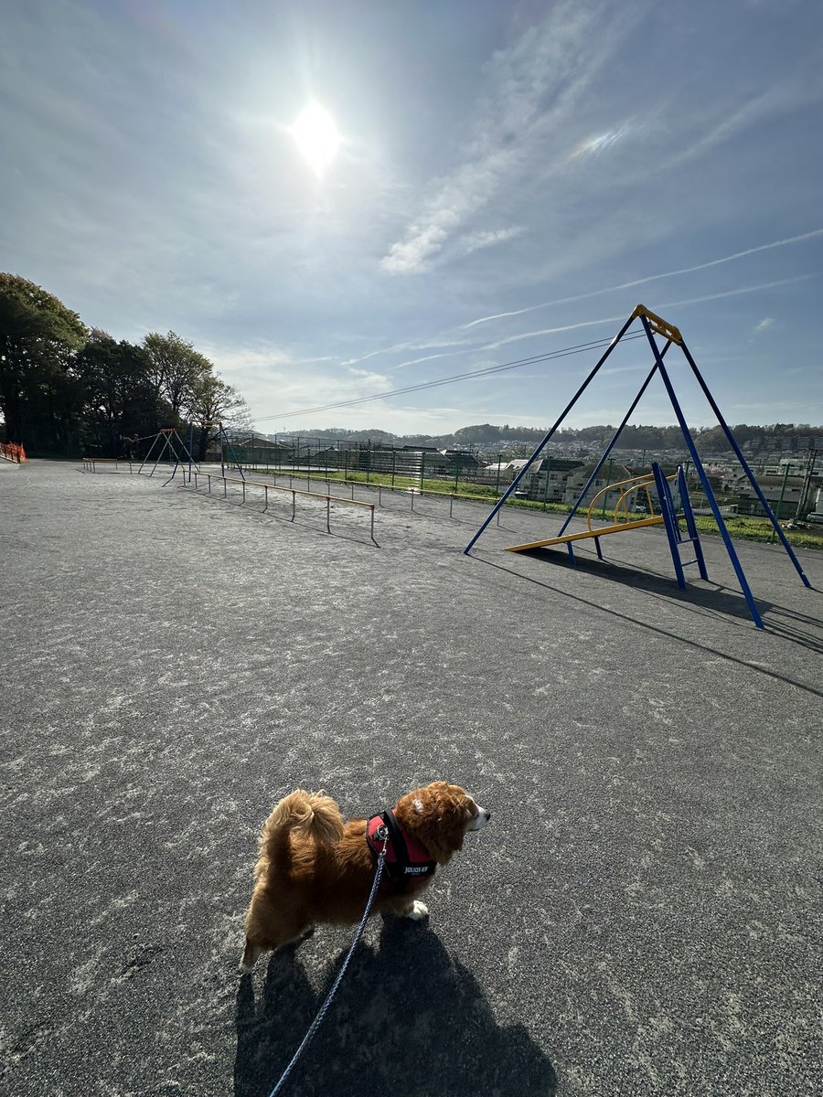 てんちょ～☆レーシングマックス府中店🏍 tweet media