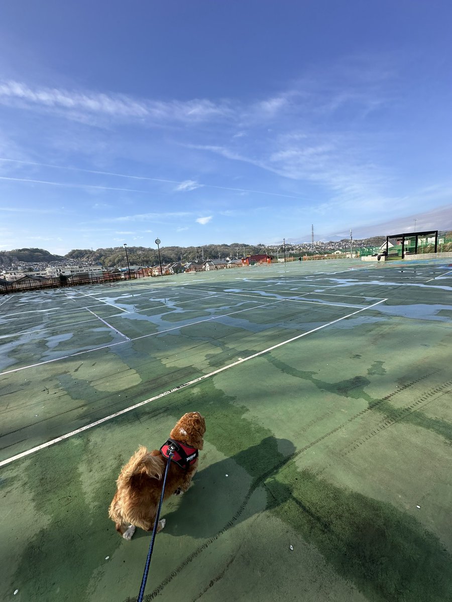 てんちょ～☆レーシングマックス府中店🏍 tweet media