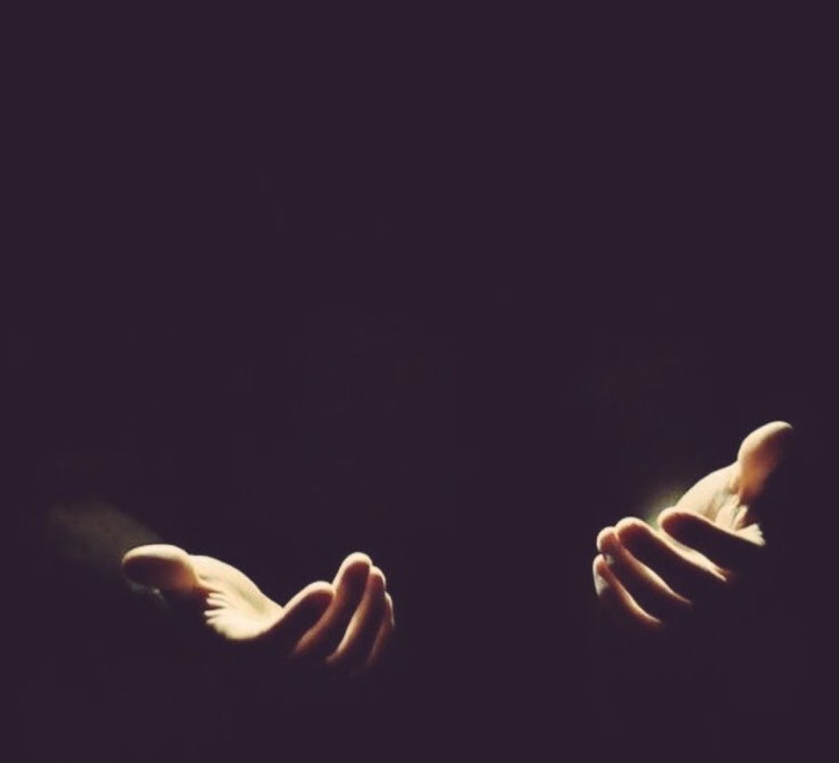 بشرى الشتيوني 🌿. tweet media