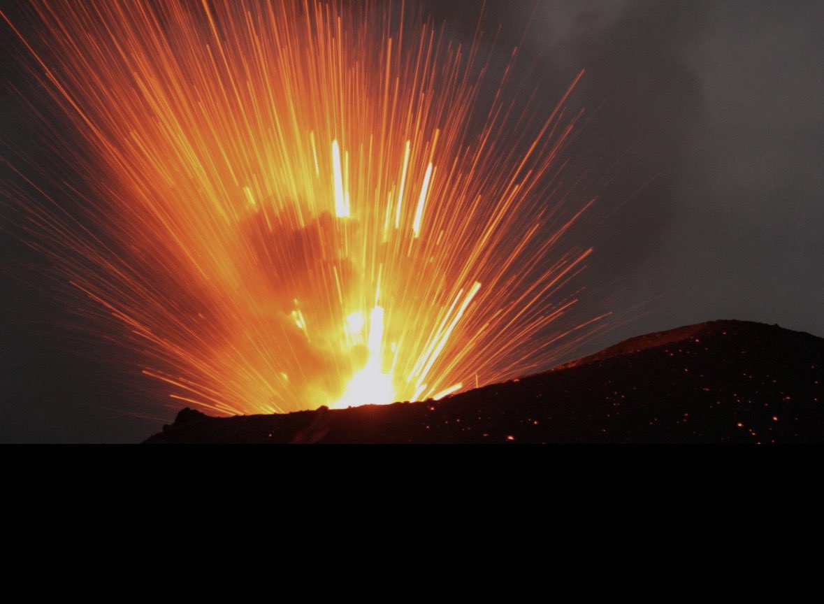 日本国民Japanesepeople🦔⸒⸒🦔⸒⸒🦔⸒⸒🍊🎌✨ tweet media