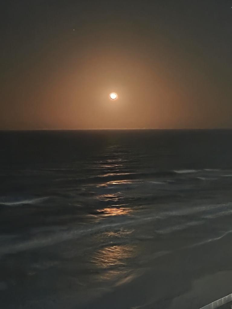 brrsmithauthor's tweet photo. A cozy (waning) full moon over the Atlantic Ocean. Daytona Beach, Florida. https://t.co/BZ8GjEd6pM
