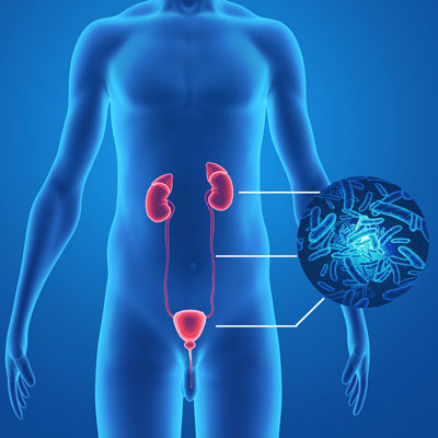 Morioh Base tweet media