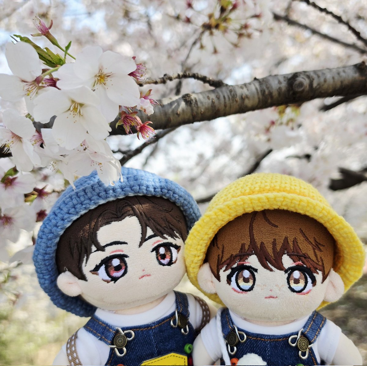 🏈아네트(๑•̀.•́๑)🍊 tweet media