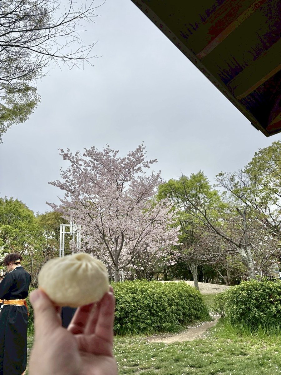 すい癌まだまだ元気 tweet media