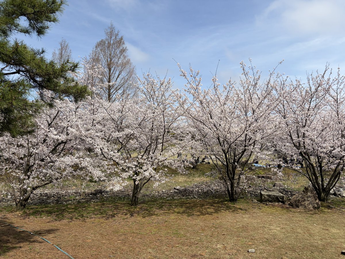 つかたつ tweet media