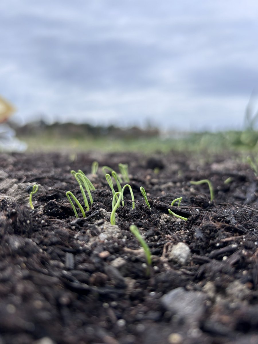 マサト tweet media