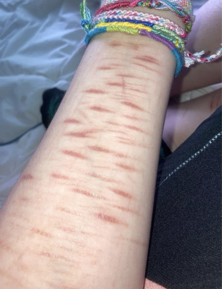 dewgong of shedtwt tweet media